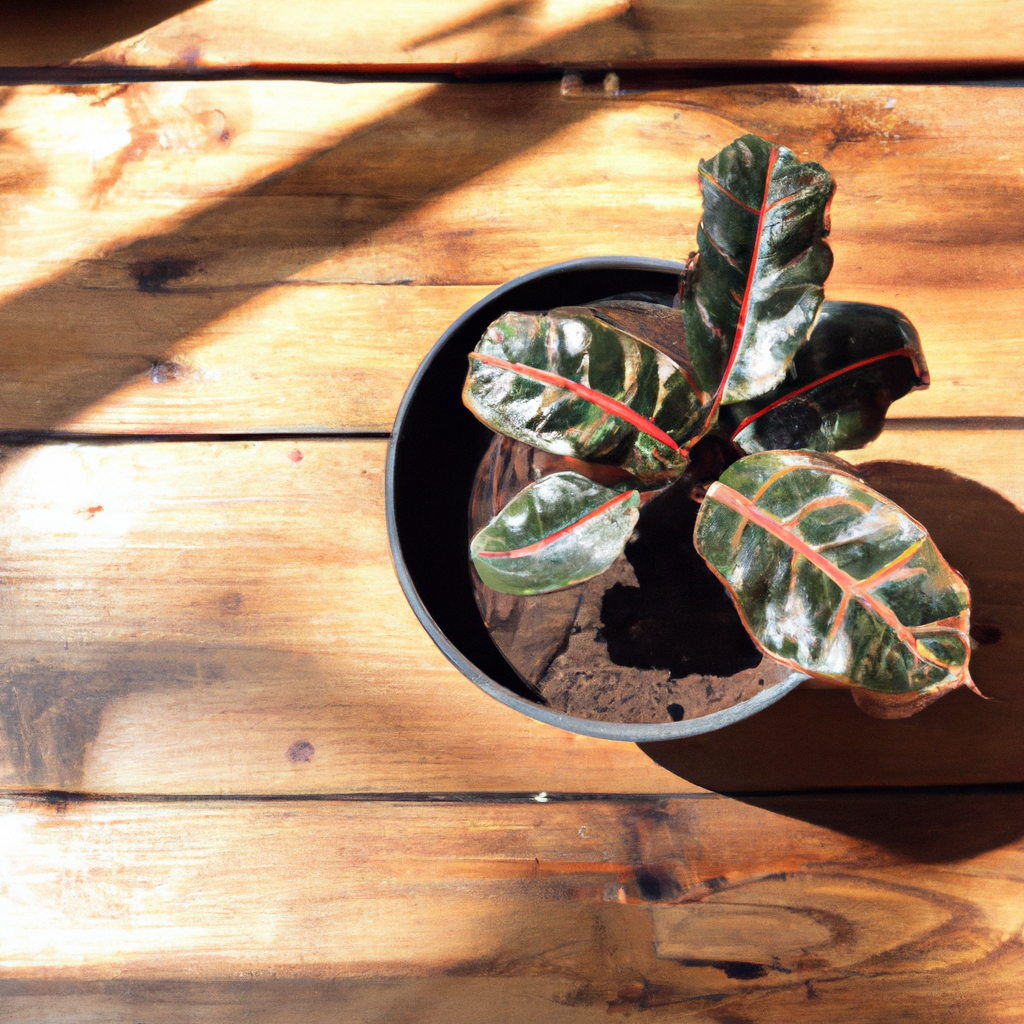 Foto generada del estudio con luz natural, equipos profesionales, suelo de madera y plantas, composición minimalista cálida